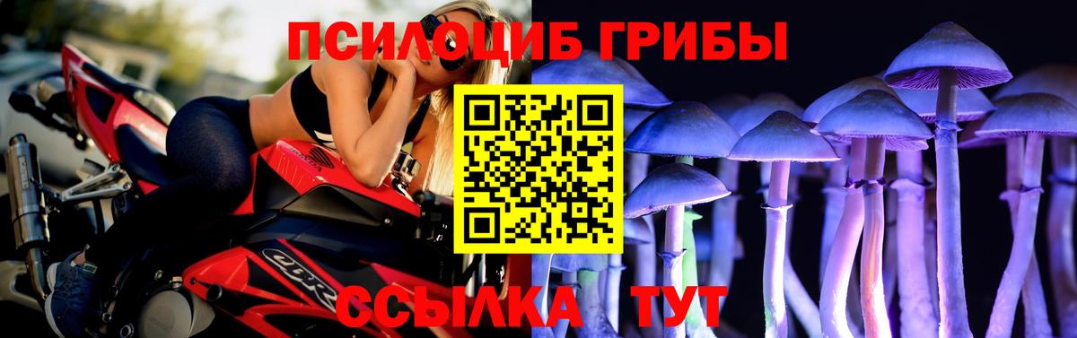 Псилоцибиновые грибы Magic Shrooms Ачхой-Мартан